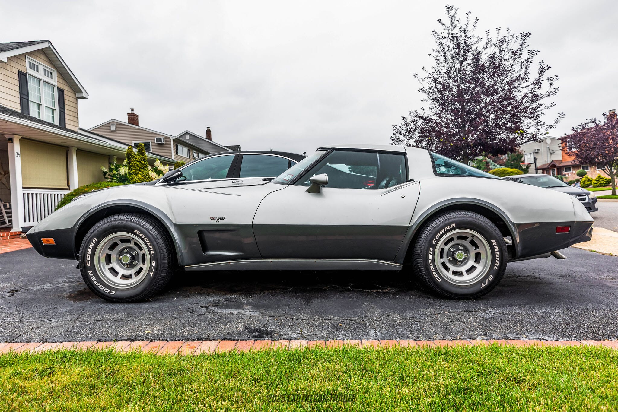 1978 Chevrolet Corvette 25th Anniversary Edition for Sale | Exotic